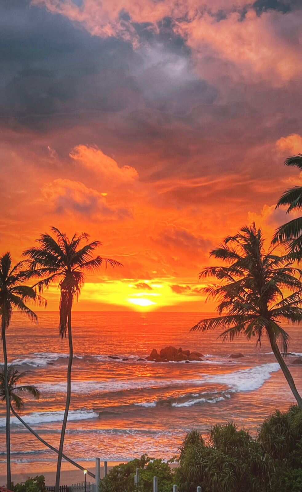 Йога серф тур на Шри Ланку в феврале (7/32)