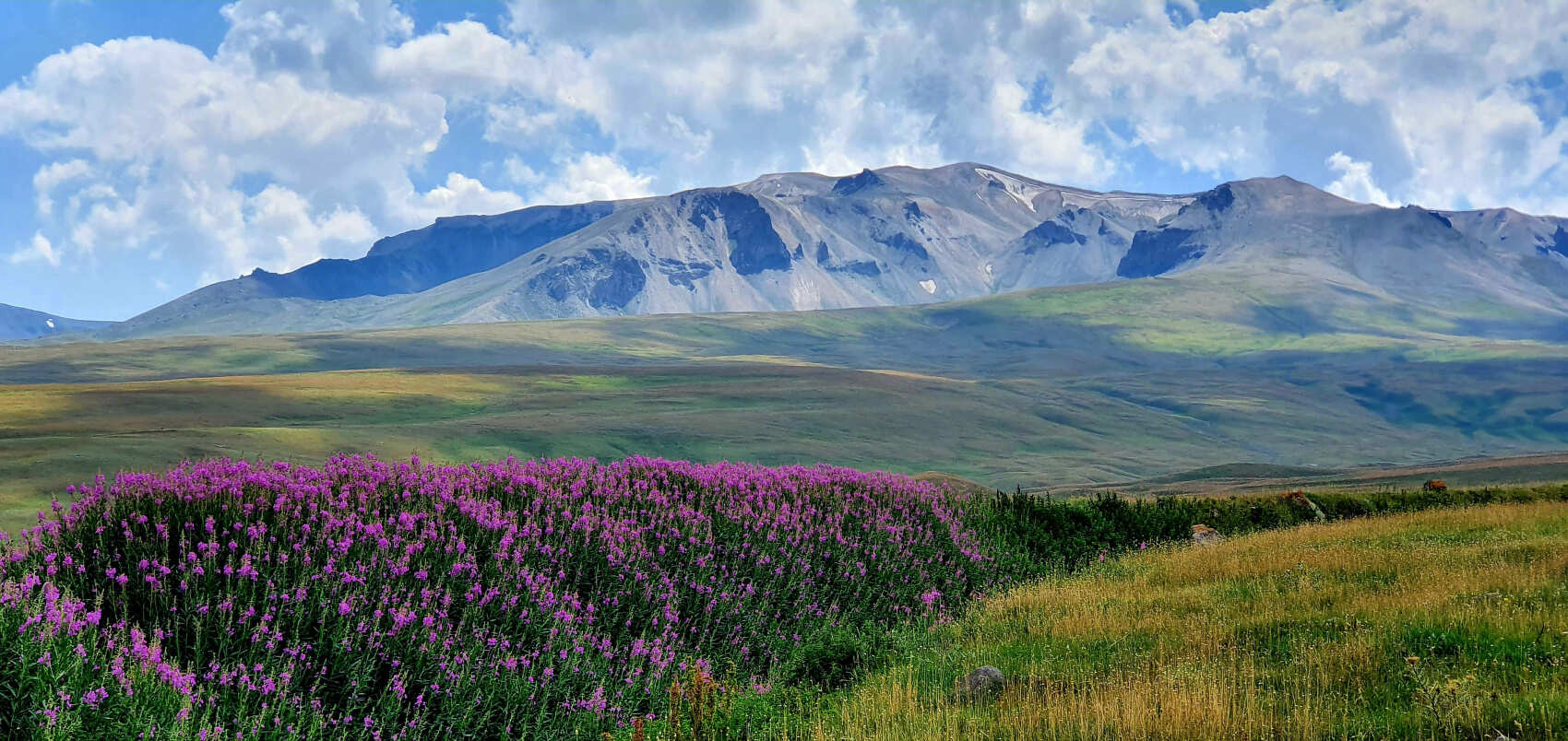 Огненные горы Гегамского  Хребта - джипинг и восхождение на вулкан Аждаак (3597м) (10/34)