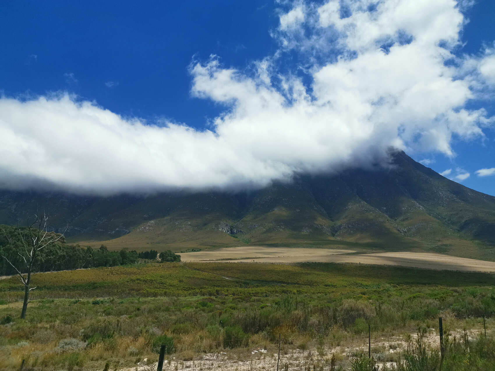 Юар: по дороге садов и сафари (6/16)