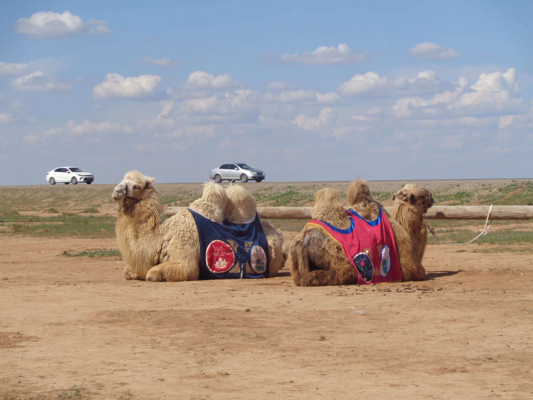 Калмыкия, тюльпанные поля, озеро Баскунчак и Золотая Элиста (5дн./5 ноч.) (15/51)