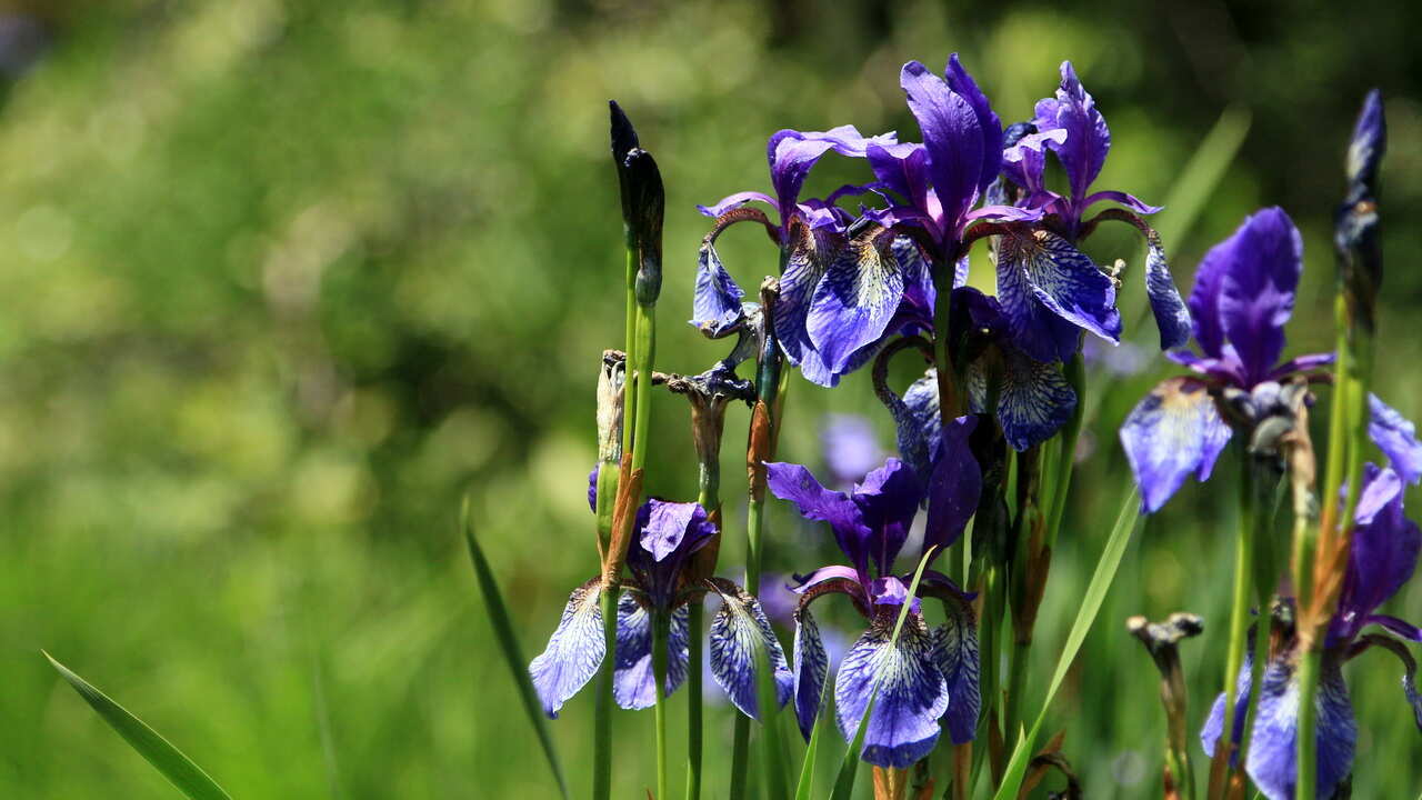 ВСЯ ОСЕТИЯ • ГРАНД ТУР - индивидуальный тур (16/76)