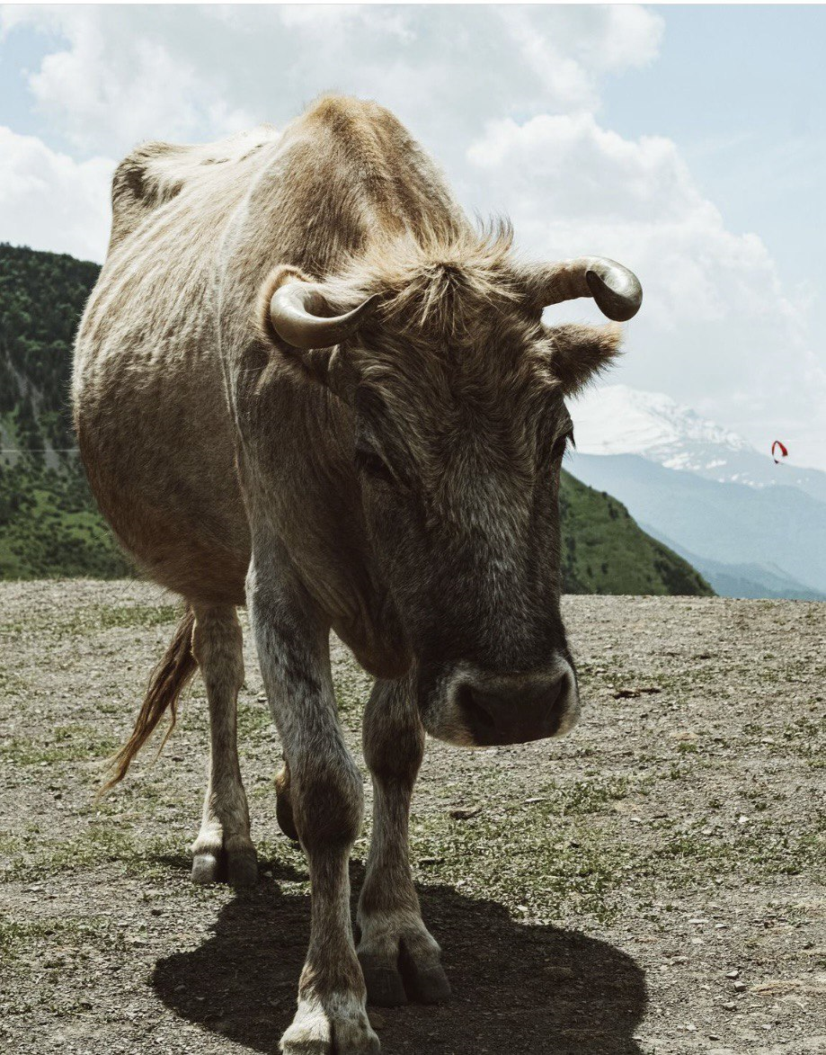 Молодёжный Тур В Дагестан (29/84)