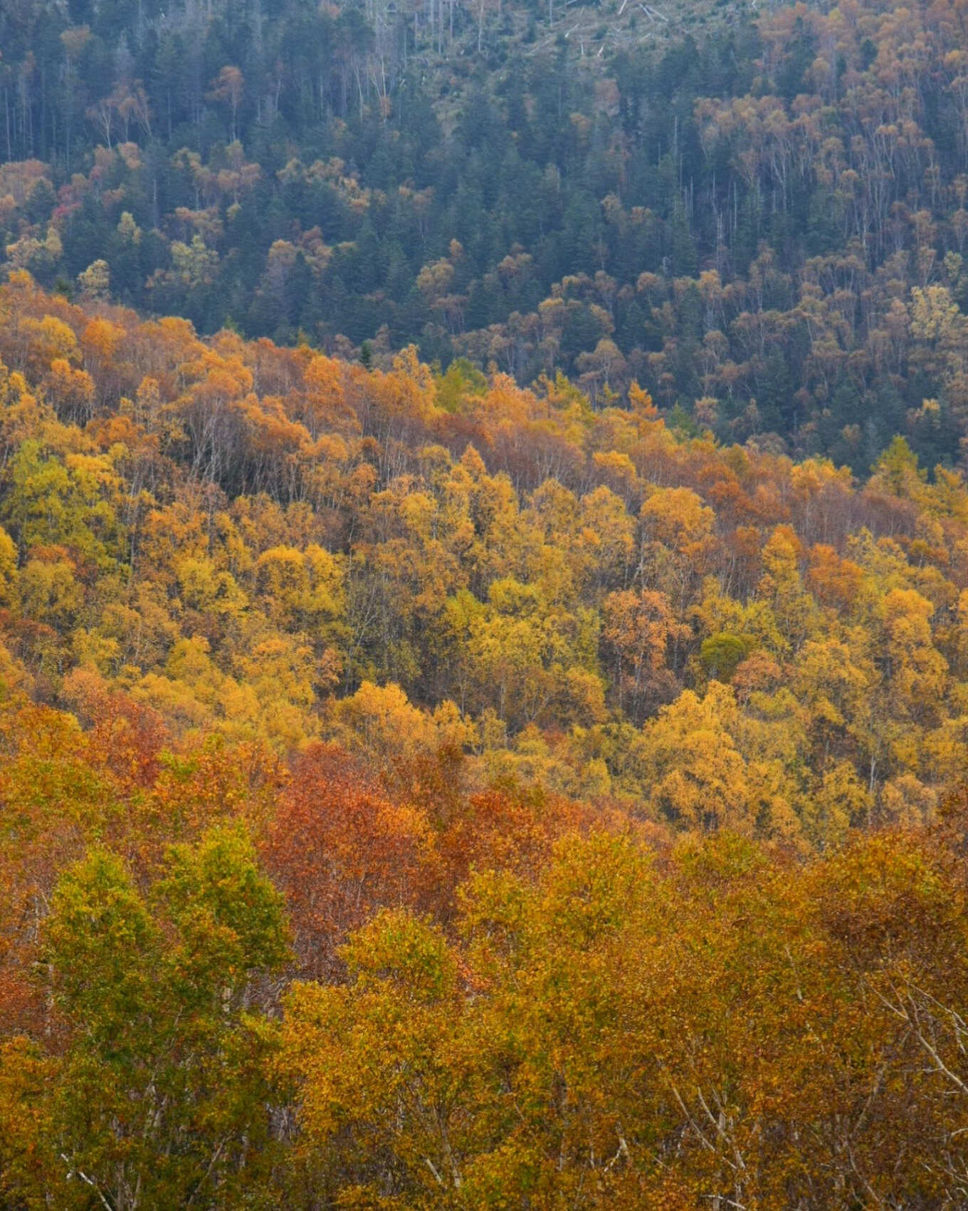 Пленительный Итуруп (7/35)