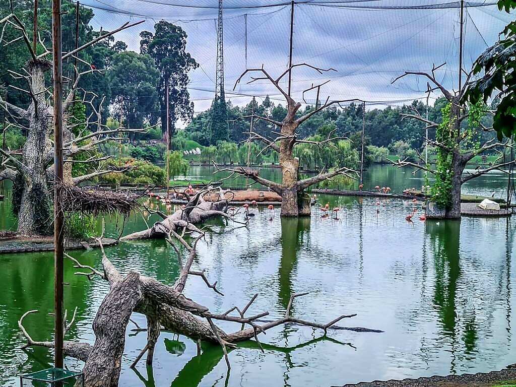 Сказка Батуми: 4 парка за один день (3/9)