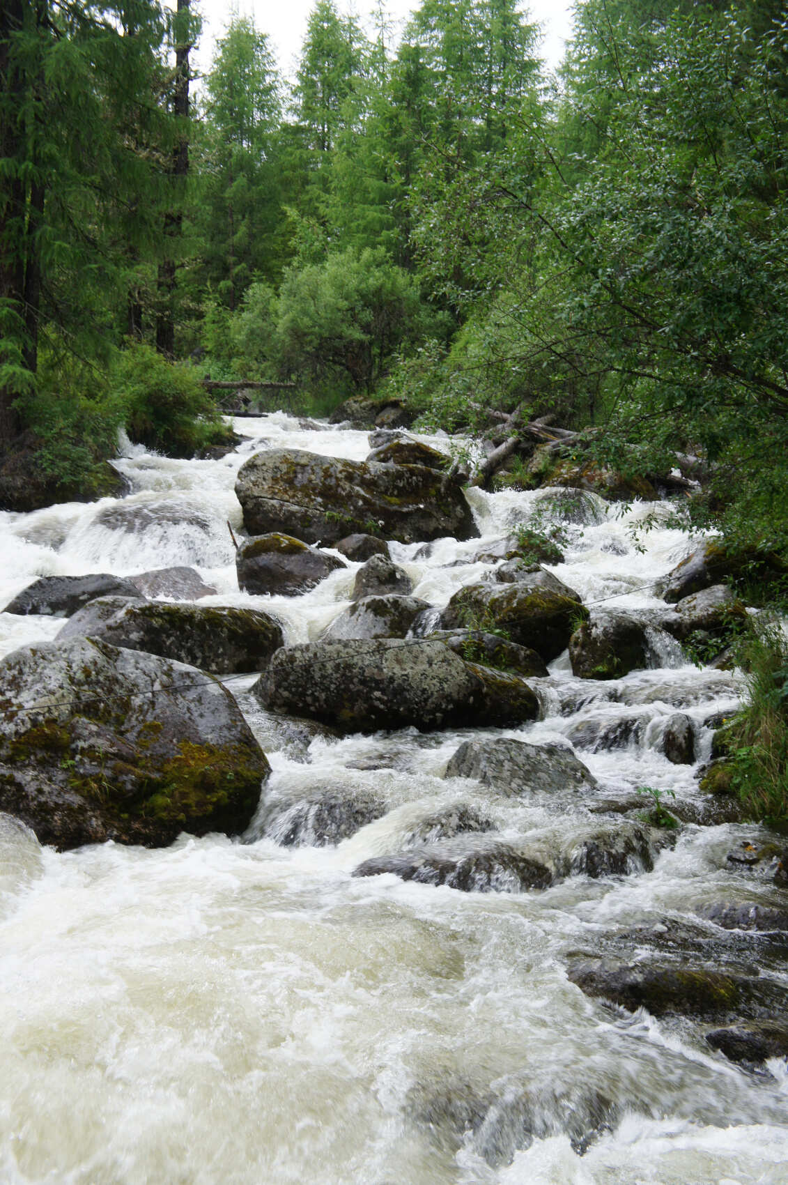 Поднебесье Саян (7/23)