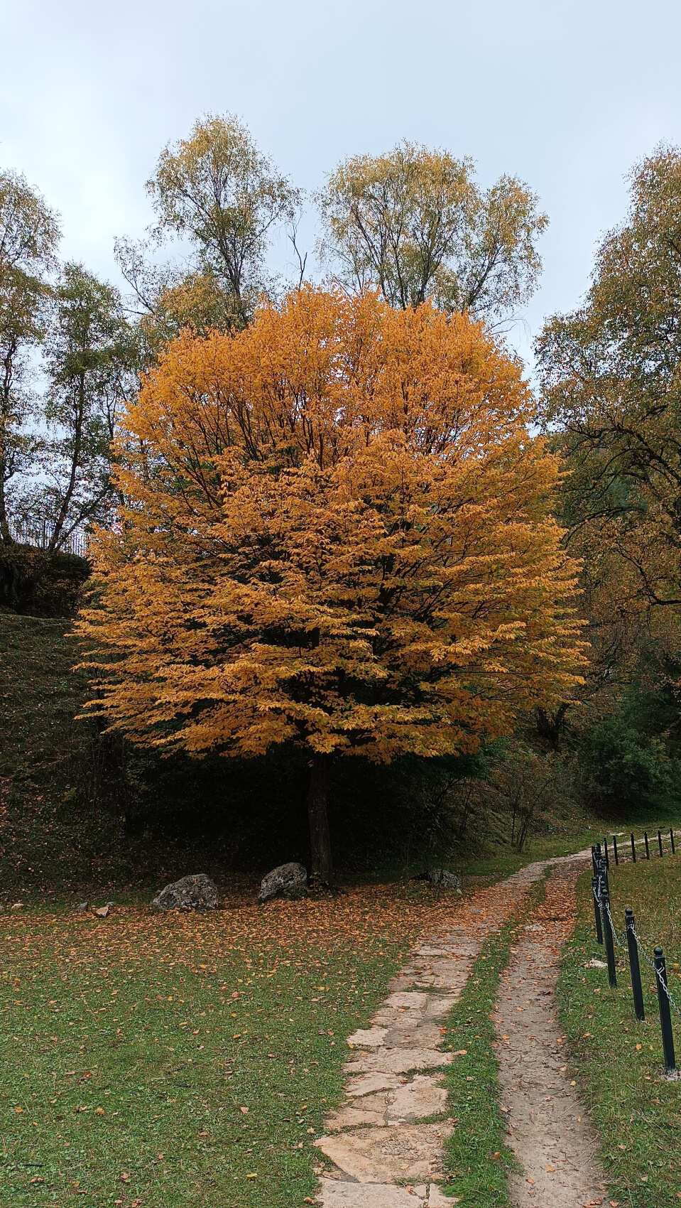 Восхождение на гору Маяк в Гунибском районе (9/13)