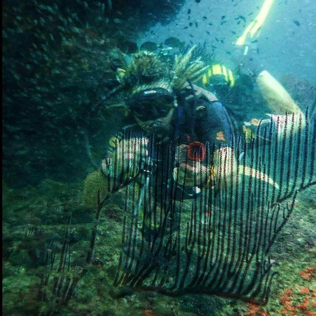 Дайвинг с индивидуальным инструктором. Для Новичков и профессионалов (40/50)