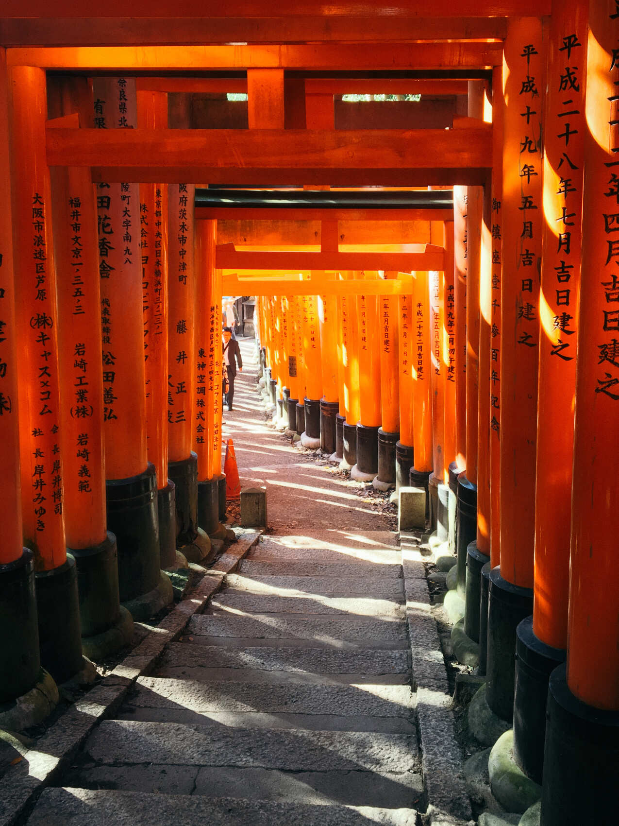 Япония в сезон цветения сакуры. Большое путешествие по всей стране (3/37)