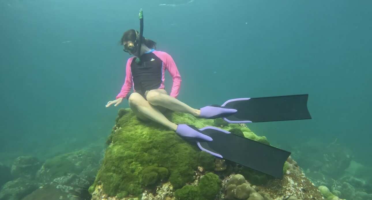 Путешествие на необитаемые острова архипелага Phi Phi. Сноркелинг с черепахами (29/41)