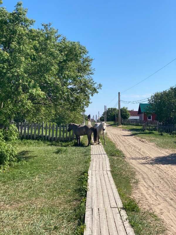 Путешествие по Терскому берегу Белого моря (11/29)