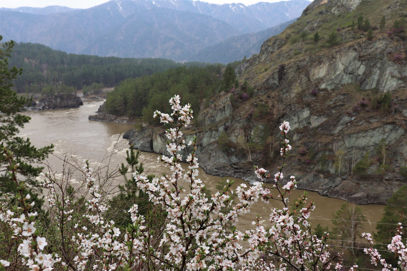  Майские-2026: Чемал, Телецкое, Чуйский тракт и Кату-Ярык (группа до 6 чел.) (14/46)
