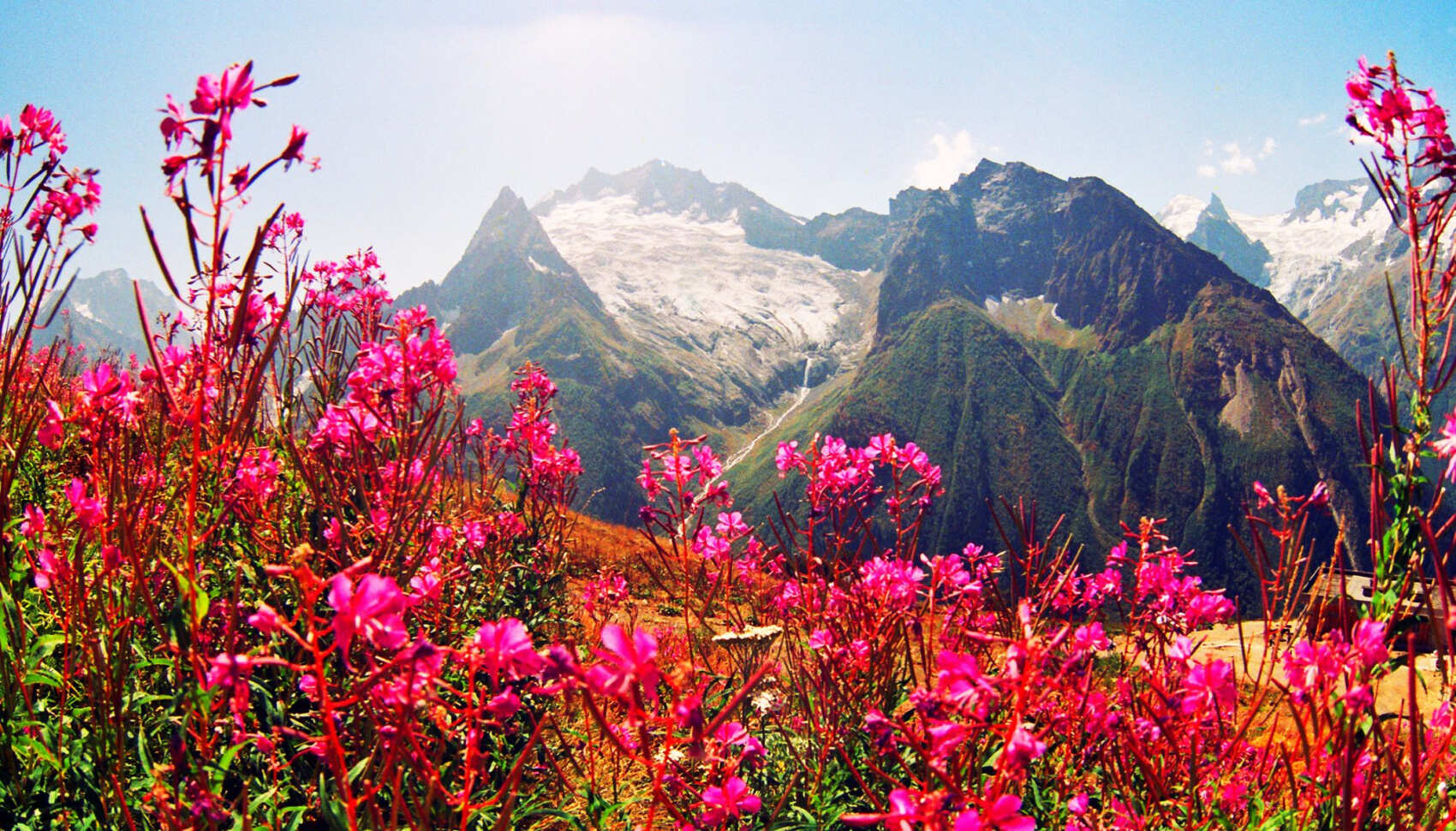 Сокровища Домбая (11/29)