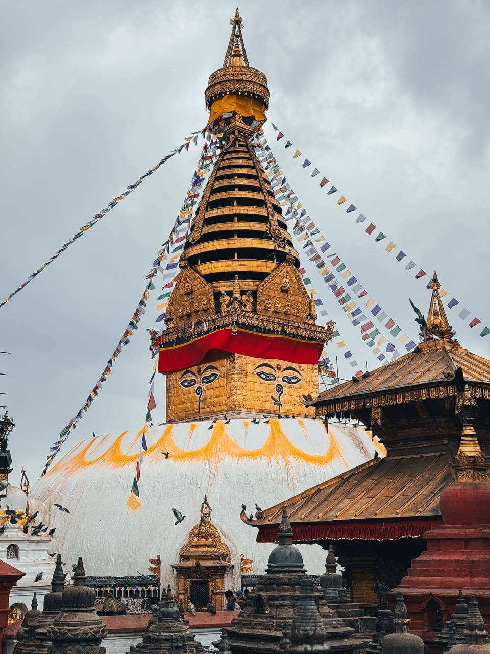 Загадочный Катманду: город Богов и легенд (22/24)