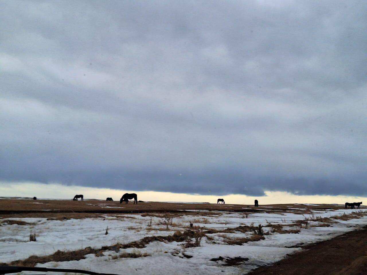 Джиптур на плато Бермамыт (14/14)