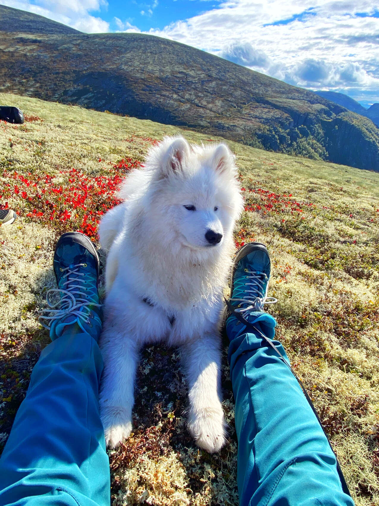 Поход в горы Хибины (7/13)