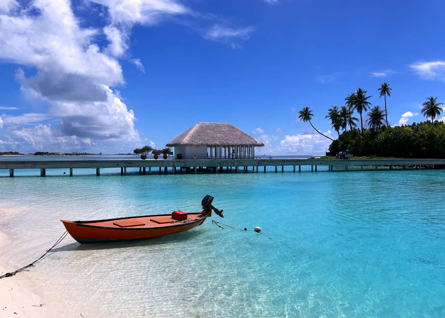 За мечтой на Мальдивы! - яркий тур на райские острова (28/48)