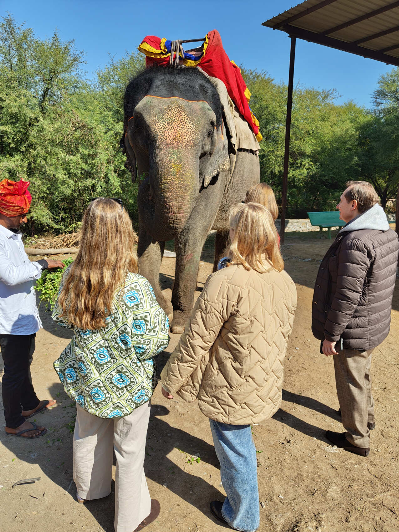 Тур Фестиваль красок: Волшебство Холи в Индии (8/25)