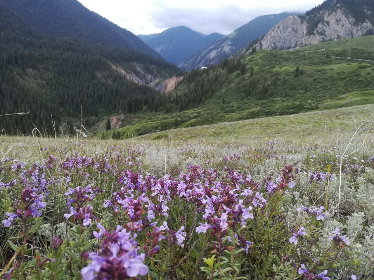 2-х дневный джип-тур: Жемчужины Тянь-Шаня  (4/33)