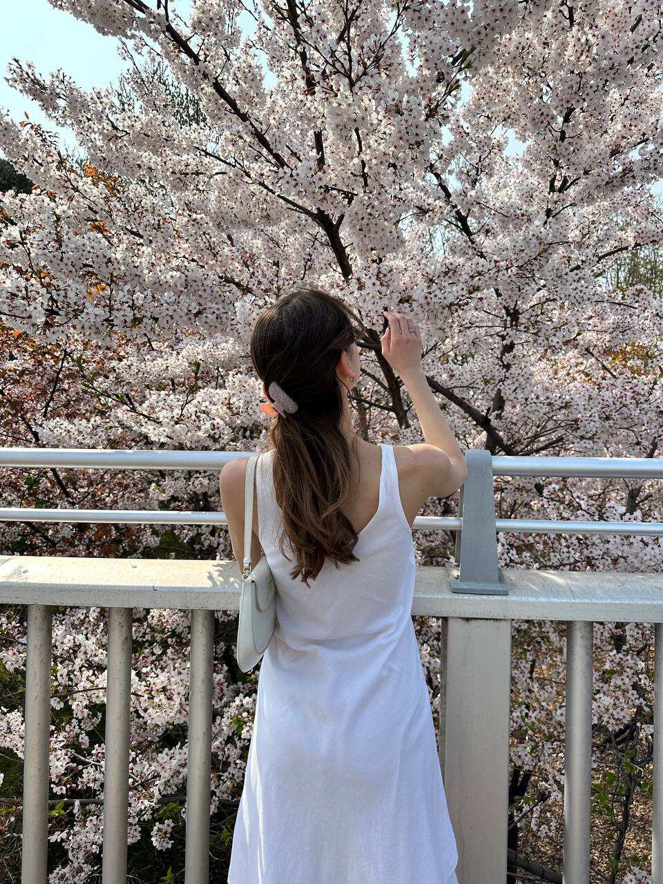 Южная Корея и остров Чеджу. (35/101)