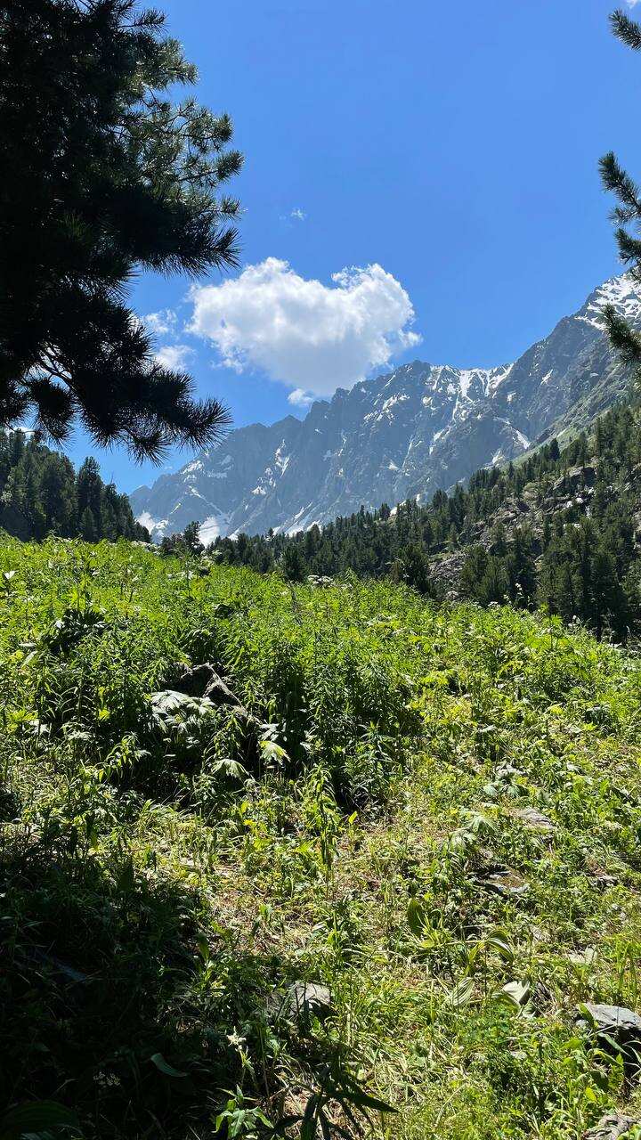 Горный Алтай. Мультинские озера с комфортом. (64/70)