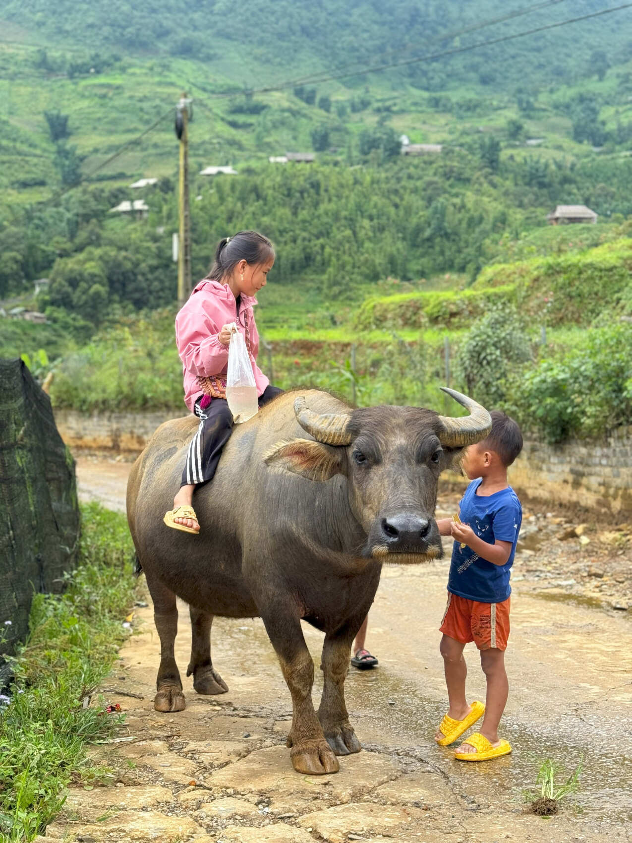 Такой самобытный Вьетнам (10/65)