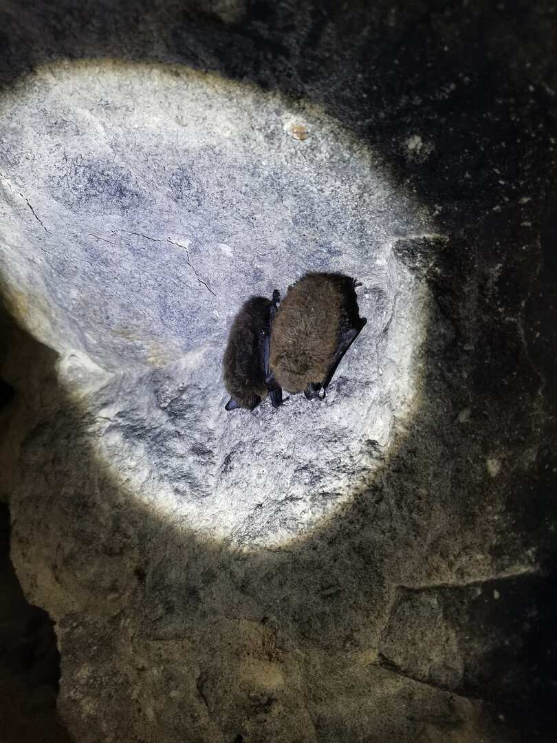 Ржев, Торжок, Старицкие пещеры и другие путешествия и приключения (41/71)