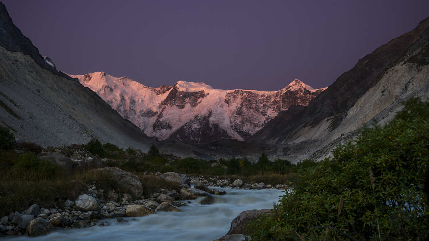 К цветущим рододендронам! (9/19)
