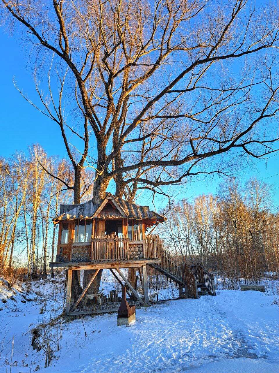 Алтай за один день (2/9)