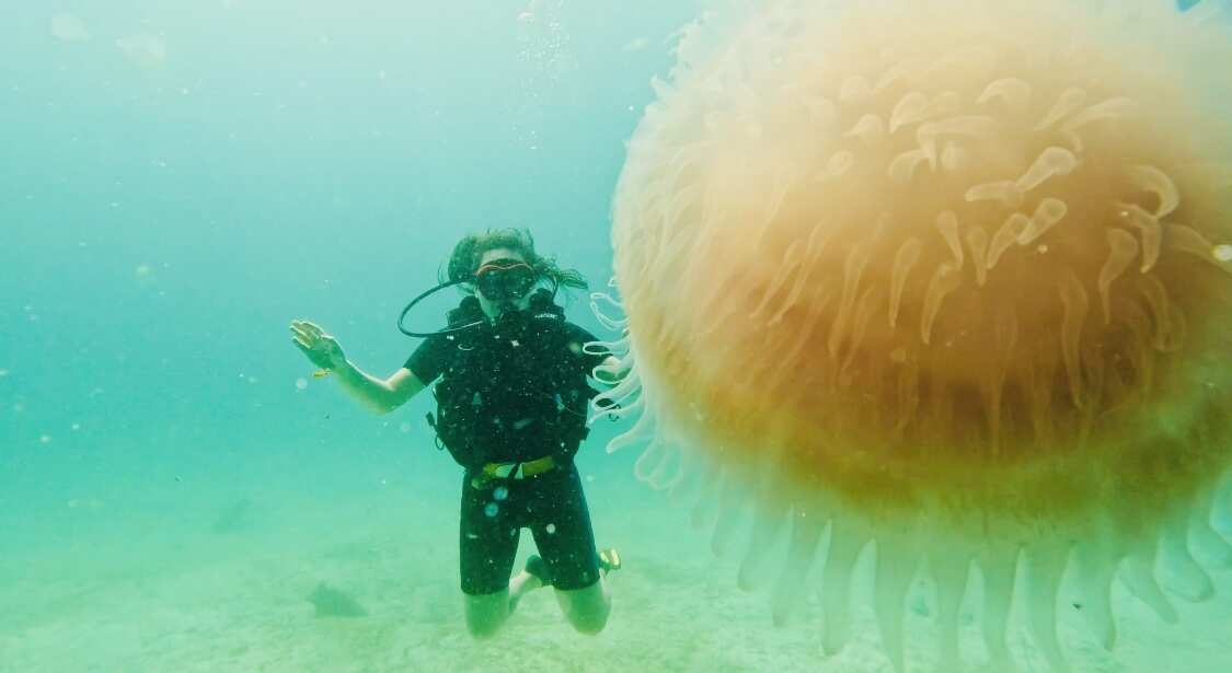 Дайвинг с индивидуальным инструктором. Для Новичков и профессионалов (5/50)