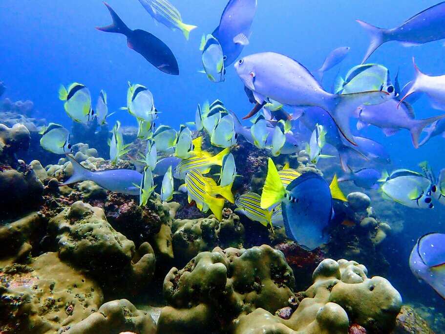 7-дневный мультиспортивный приключенческий тур по Галапагосским островам