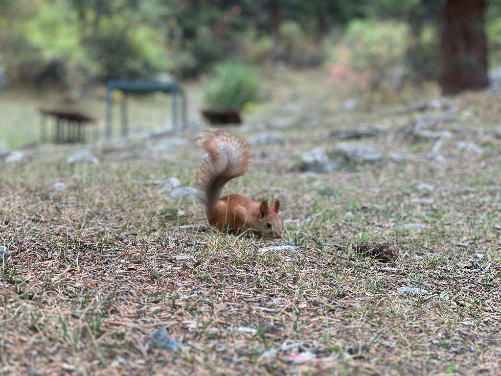 Национальный парк Ала-Арча и ночная жизнь Бишкека, как живет мегаполис!! (6/25)