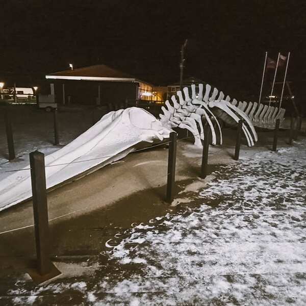 Териберка - Северное Сияние, Океан, Киты. (54/70)