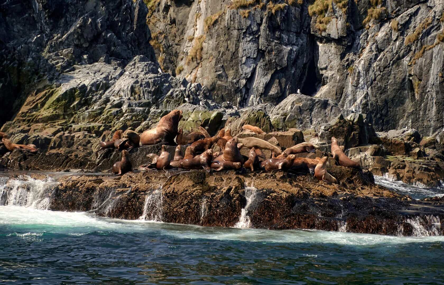 Все, что нужно увидеть на Камчатке в одном туре (7/26)