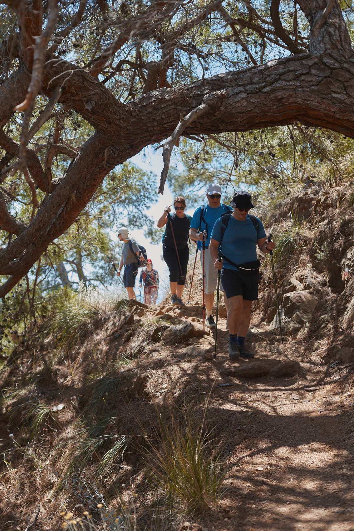Хайкинг по Ликийской тропе (Восток) без рюкзаков с отелями (4/28)