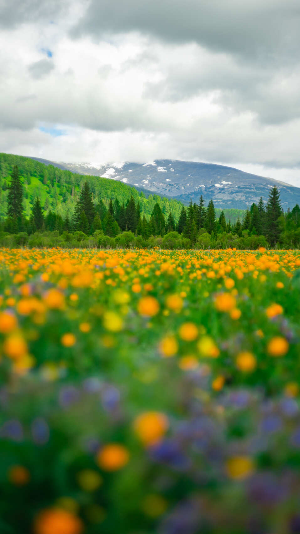 Путешествие Золотое кольцо Алтая обратный маршрут (2/32)