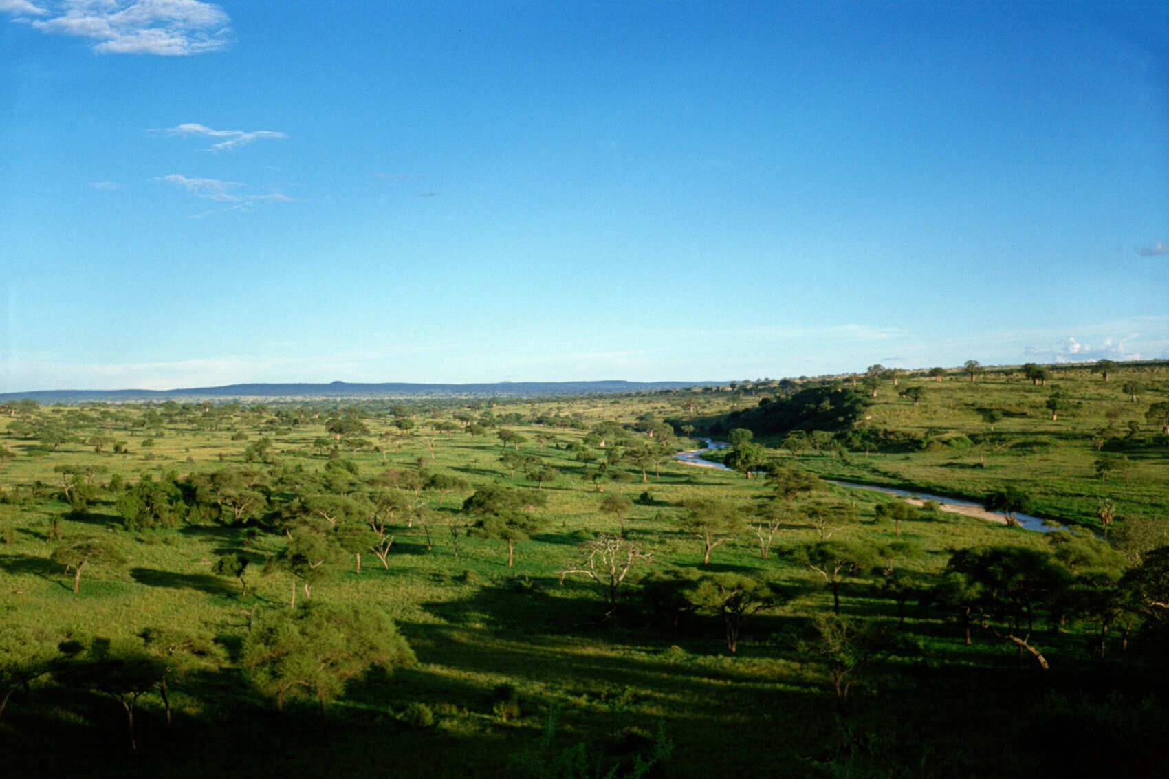 Танзания. Восхождение на Килиманджаро (4/37)