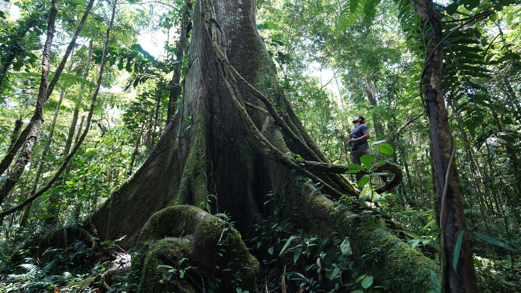 7-дневная экспедиция на байдарках Waranies (2/16)