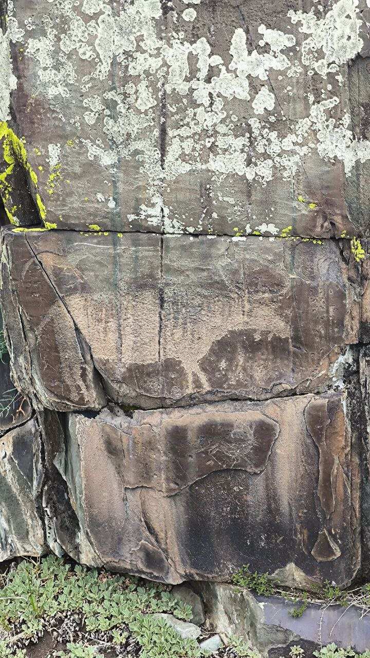 Легендарный Чуйский тракт (9/9)