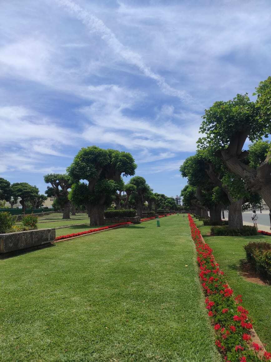 Авторский тур в Марокко (Полупансион) (31/59)