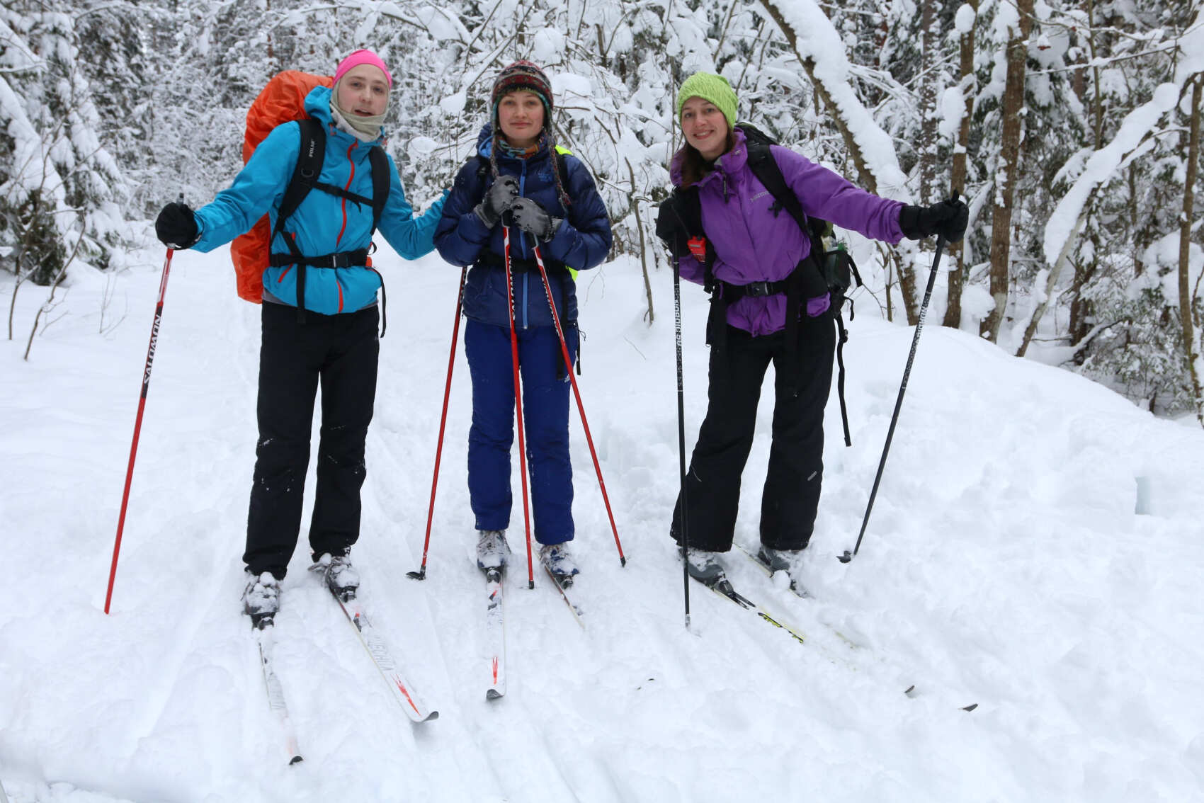 Лыжный день по сказочным местам. Однодневный выезд из Петербурга (11/17)