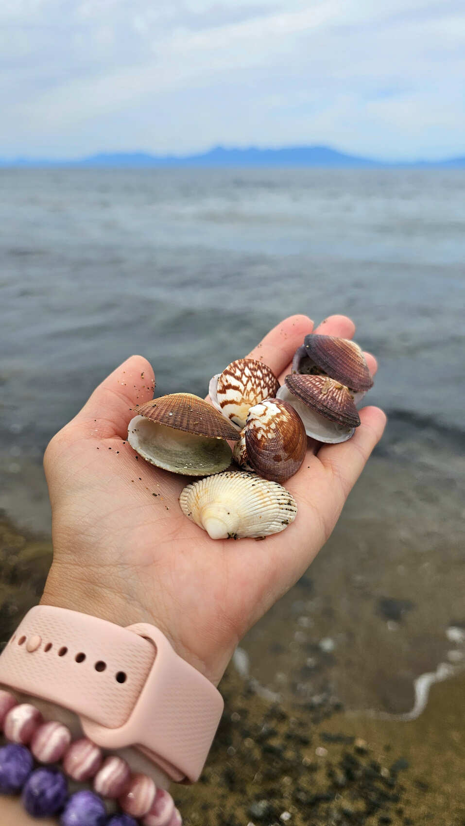 Сахалин и Курилы: острова Кунашир и Итуруп. На краю Земли! (16/60)