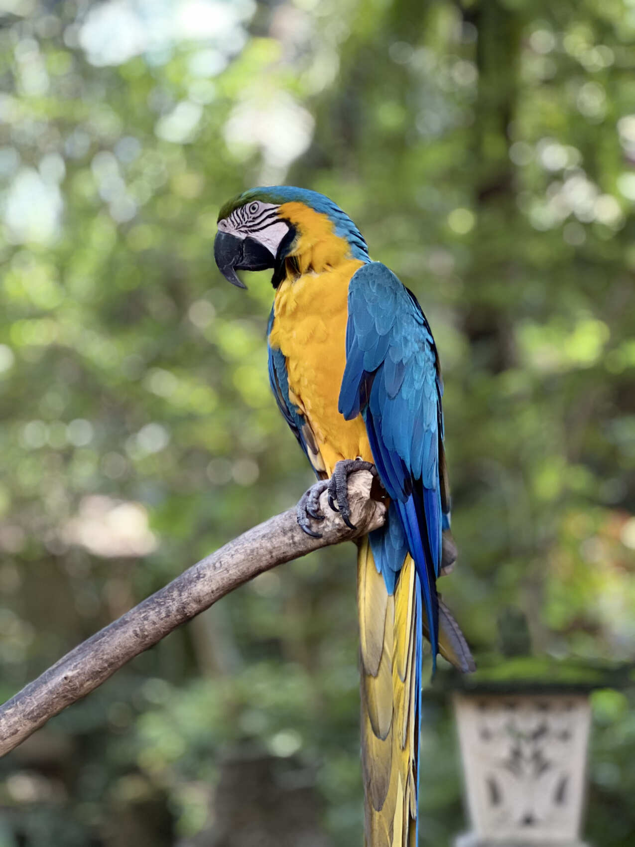 Фото-девичник на Бали за 10 дней (79/167)