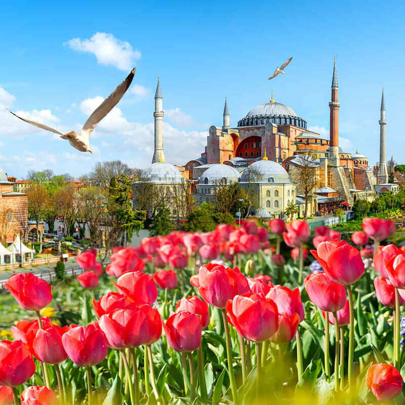 Стамбул и Каппадокия (22/35)