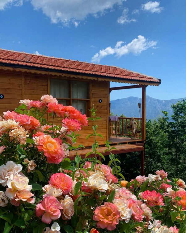 Восточная Ликийская тропа без рюкзаков и палаток (17/51)