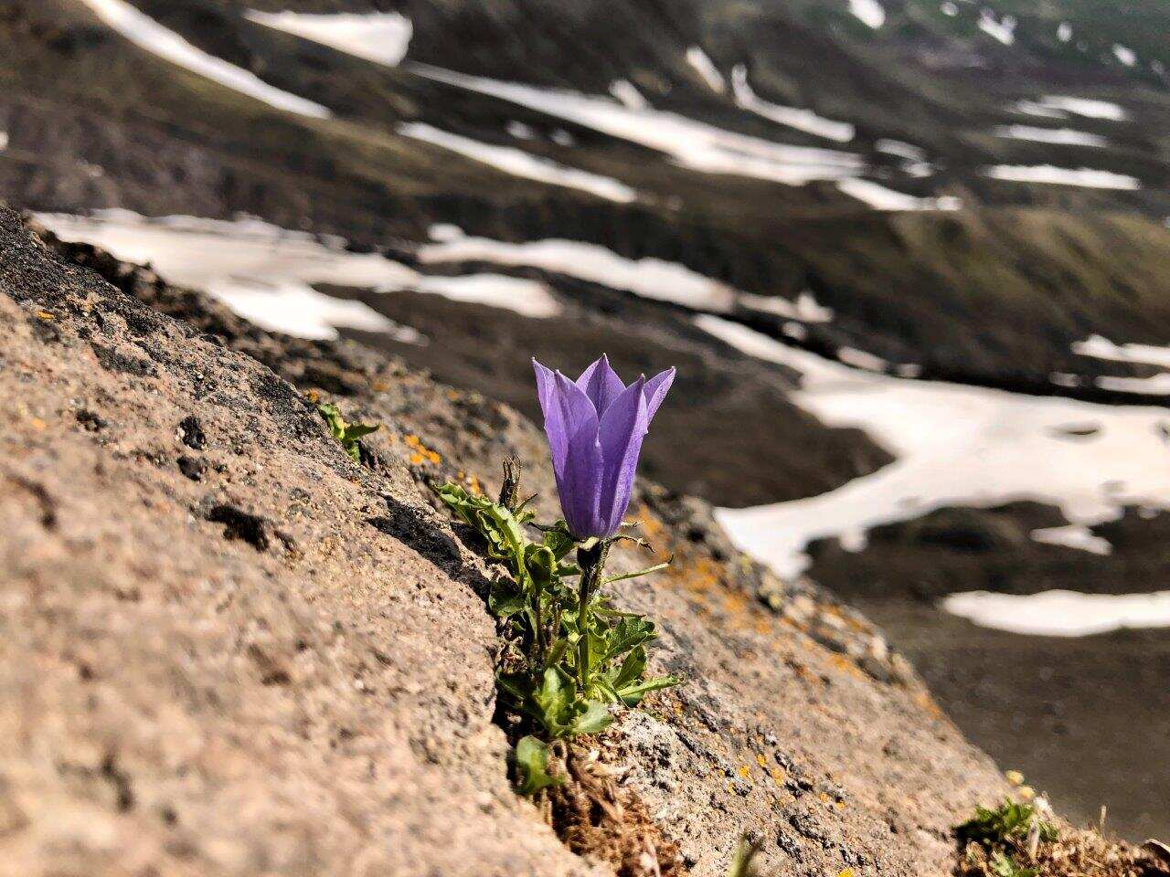 В гости к Вулканам, Авачинский перевал, экструзия «Верблюд» (9/17)