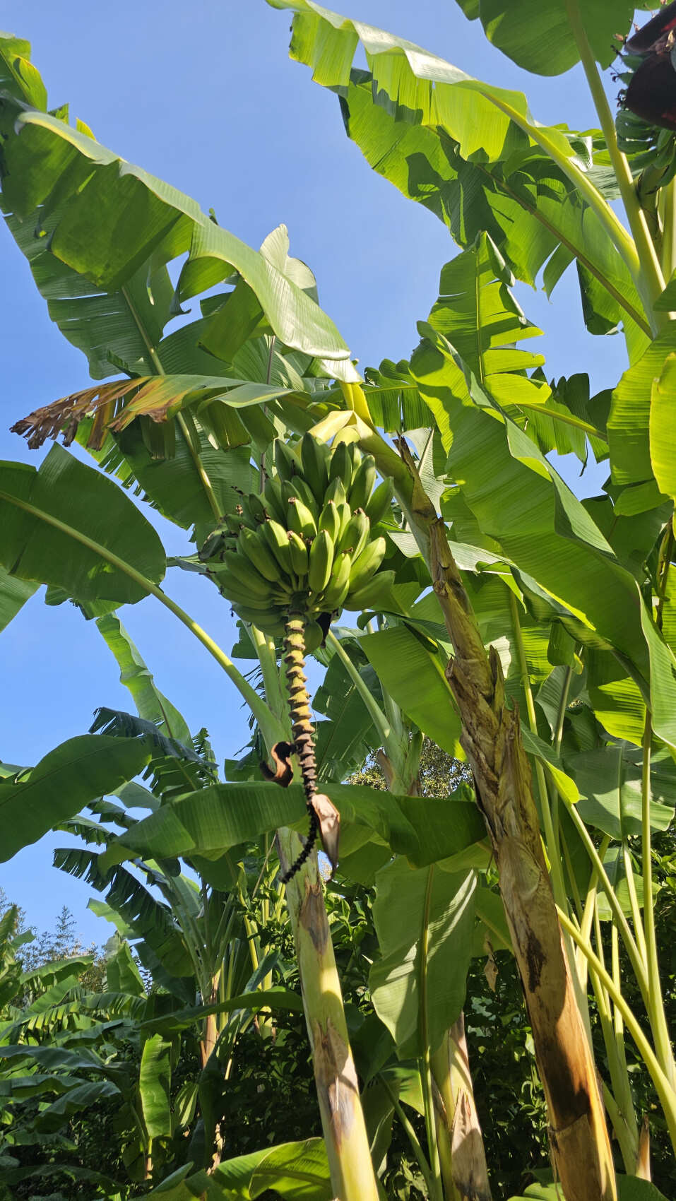 Треккинг по Ликийской тропе (без рюкзаков) (26/53)