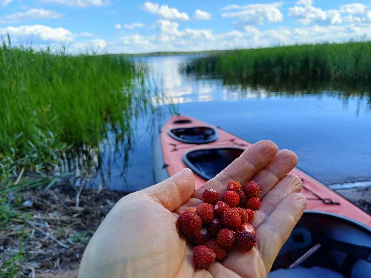 Сплав по Волге к Старицким каменоломням