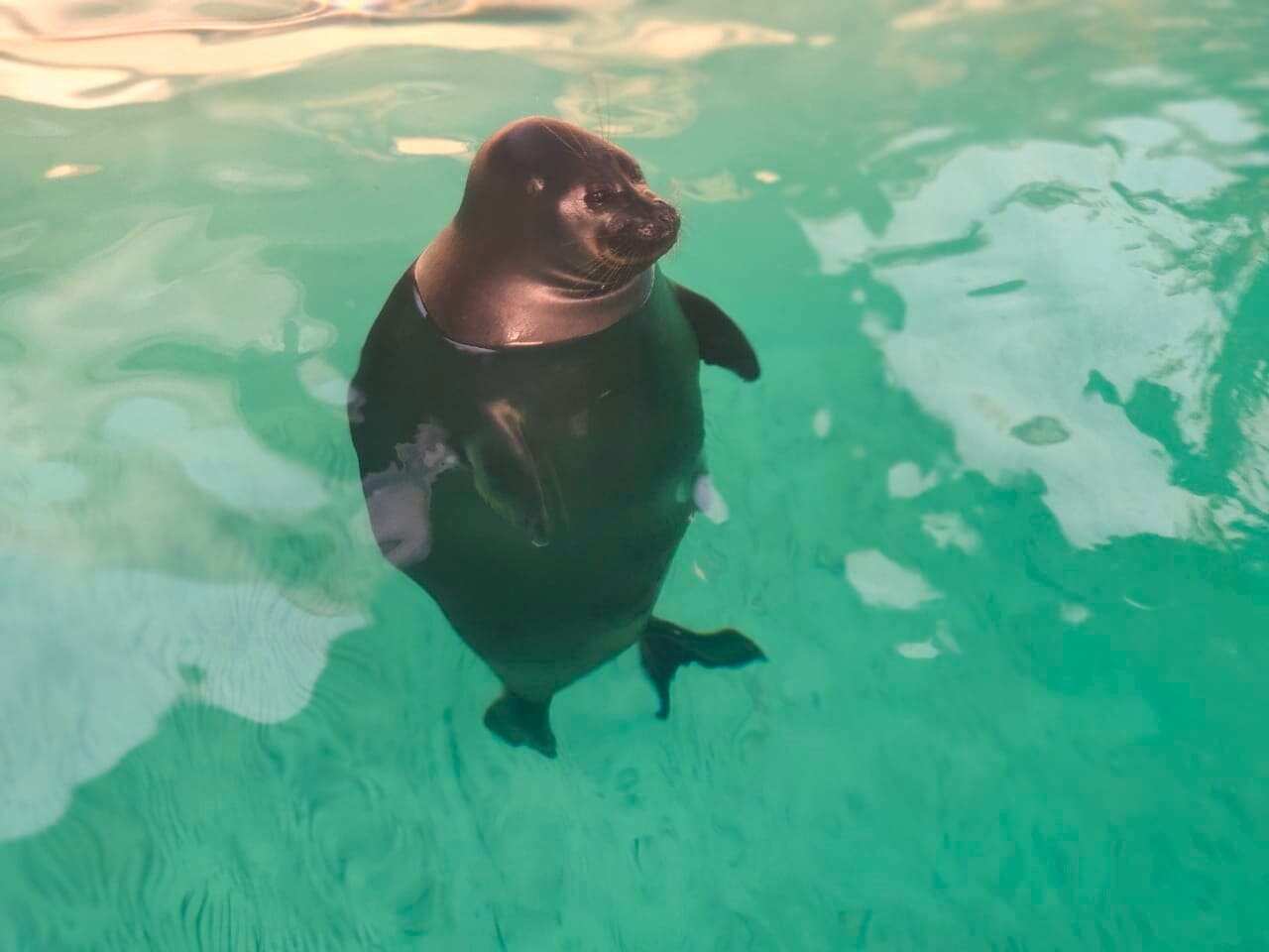 Дыхание Байкала (31/91)