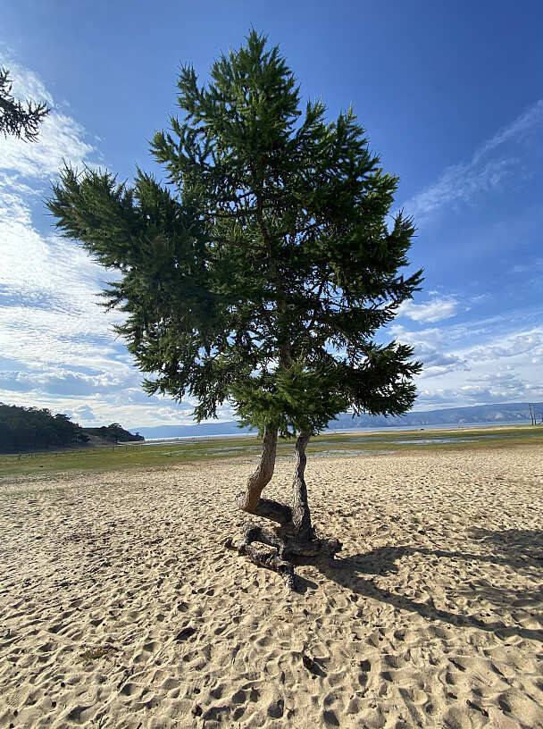 Байкальский Оазис: Антистресс и Релакс для души и тела. Ольхон, Огой, Малое море. (31/84)