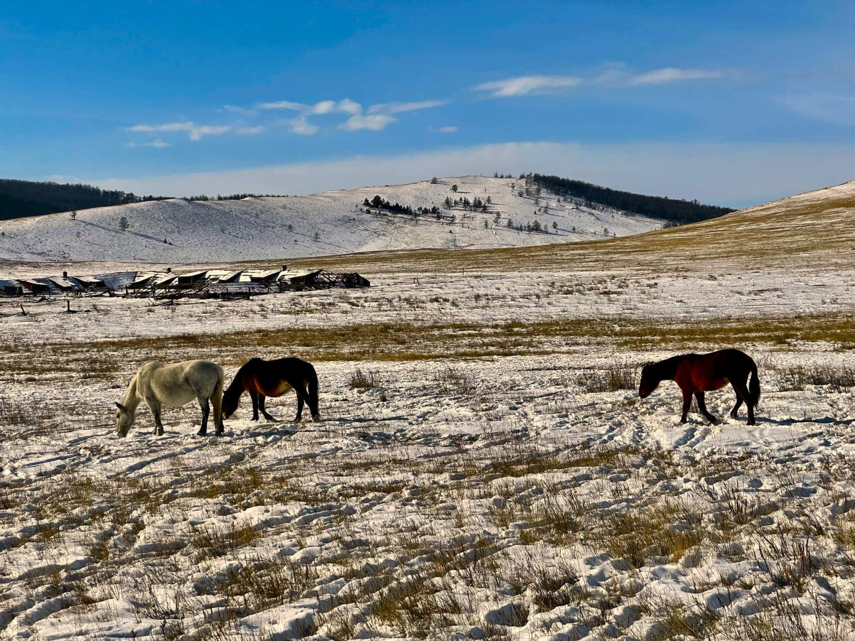 Дыхание Байкала (6/91)